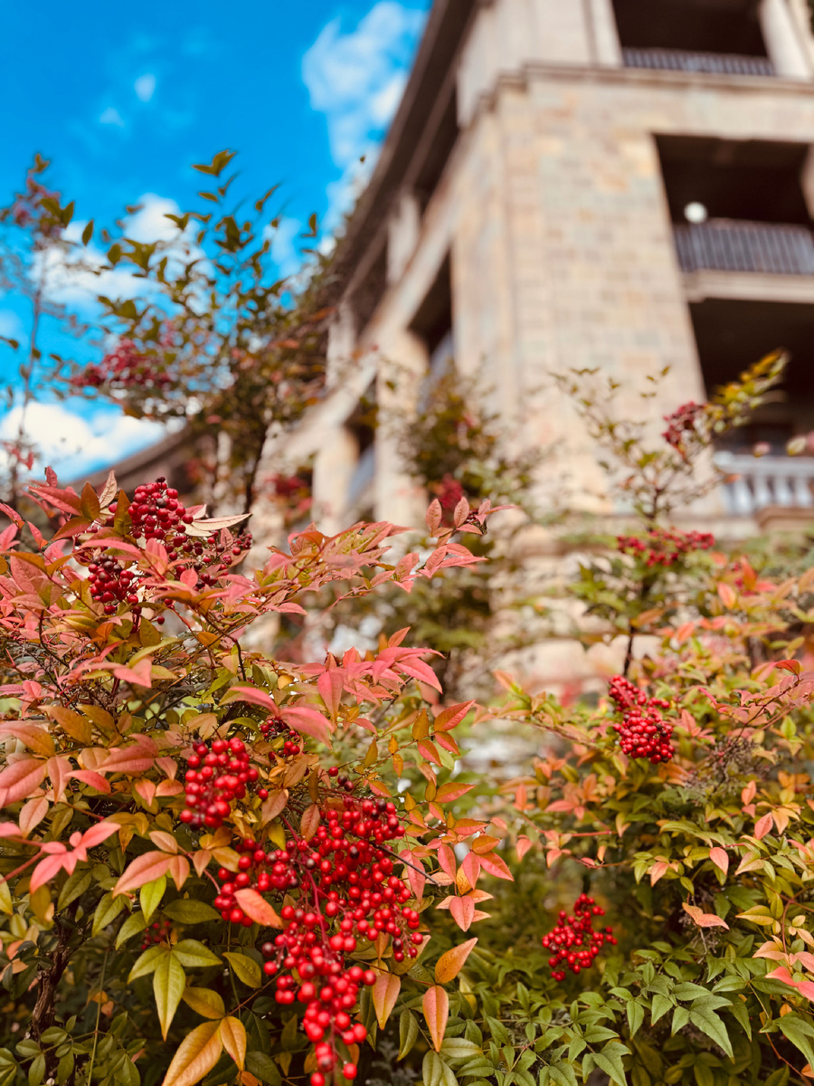    Санаторий «Металлург» г. Сочи