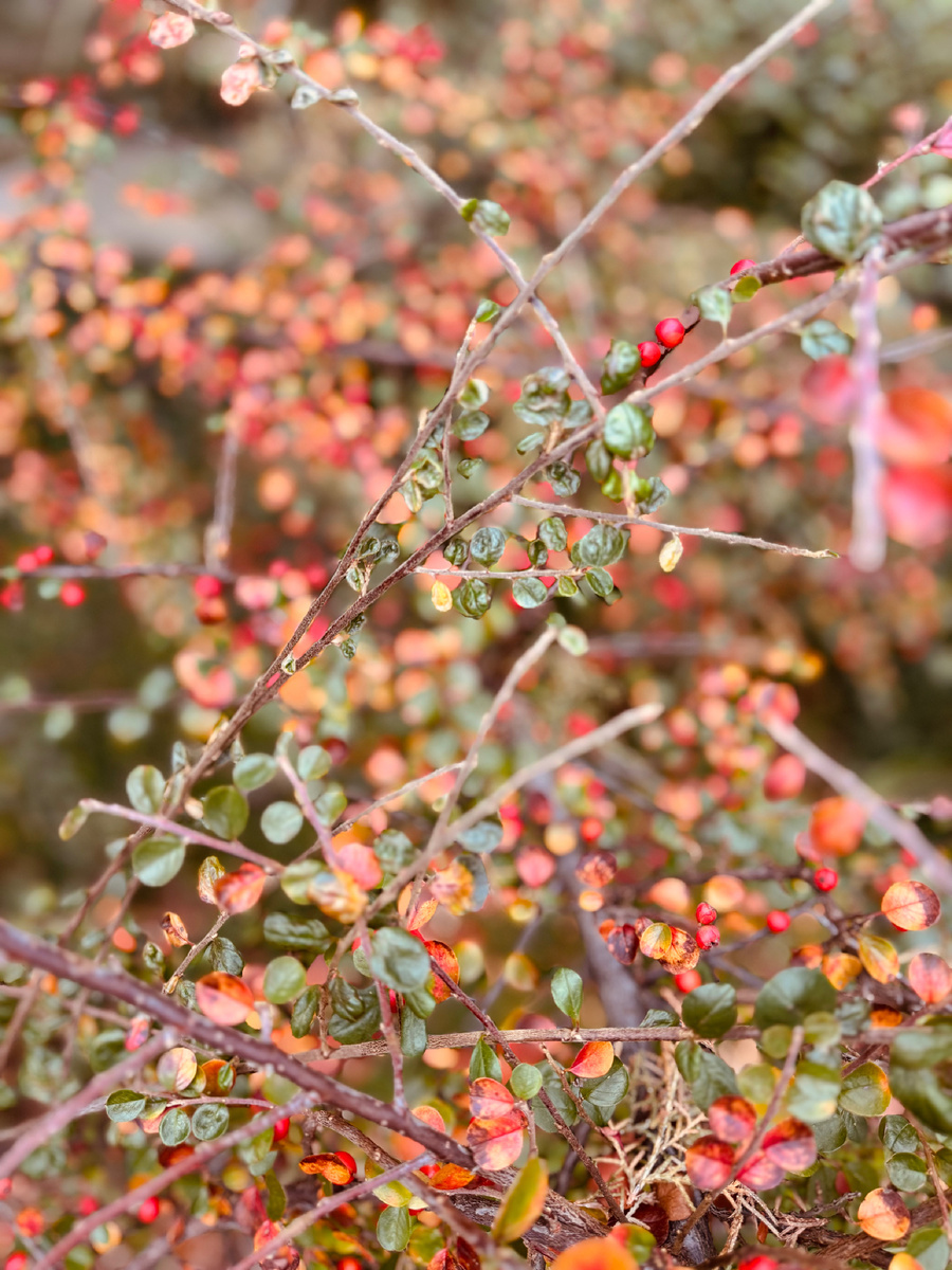    Санаторий «Металлург» г. Сочи