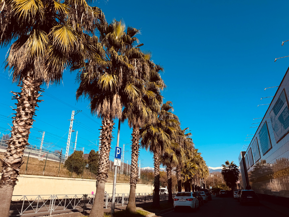    ФТ «Сириус»