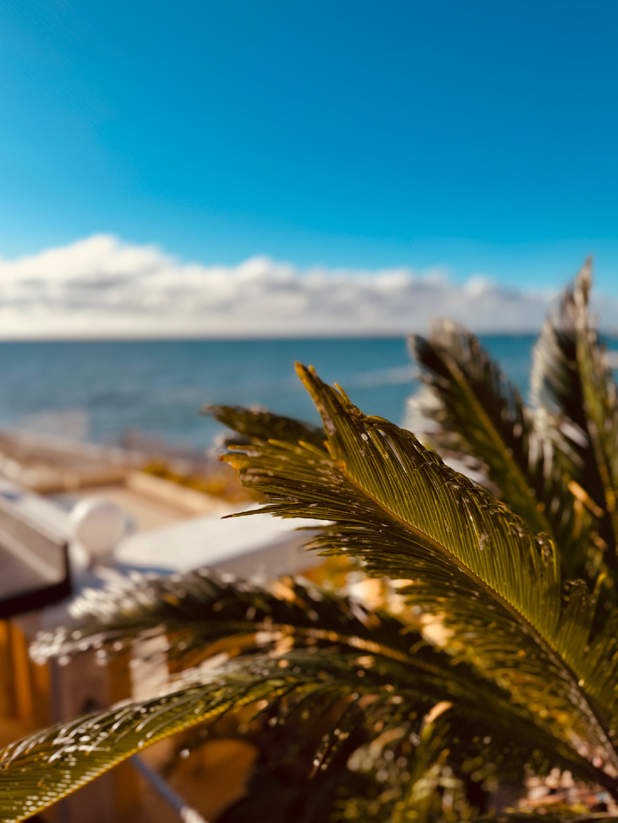    Набережная г. Сочи