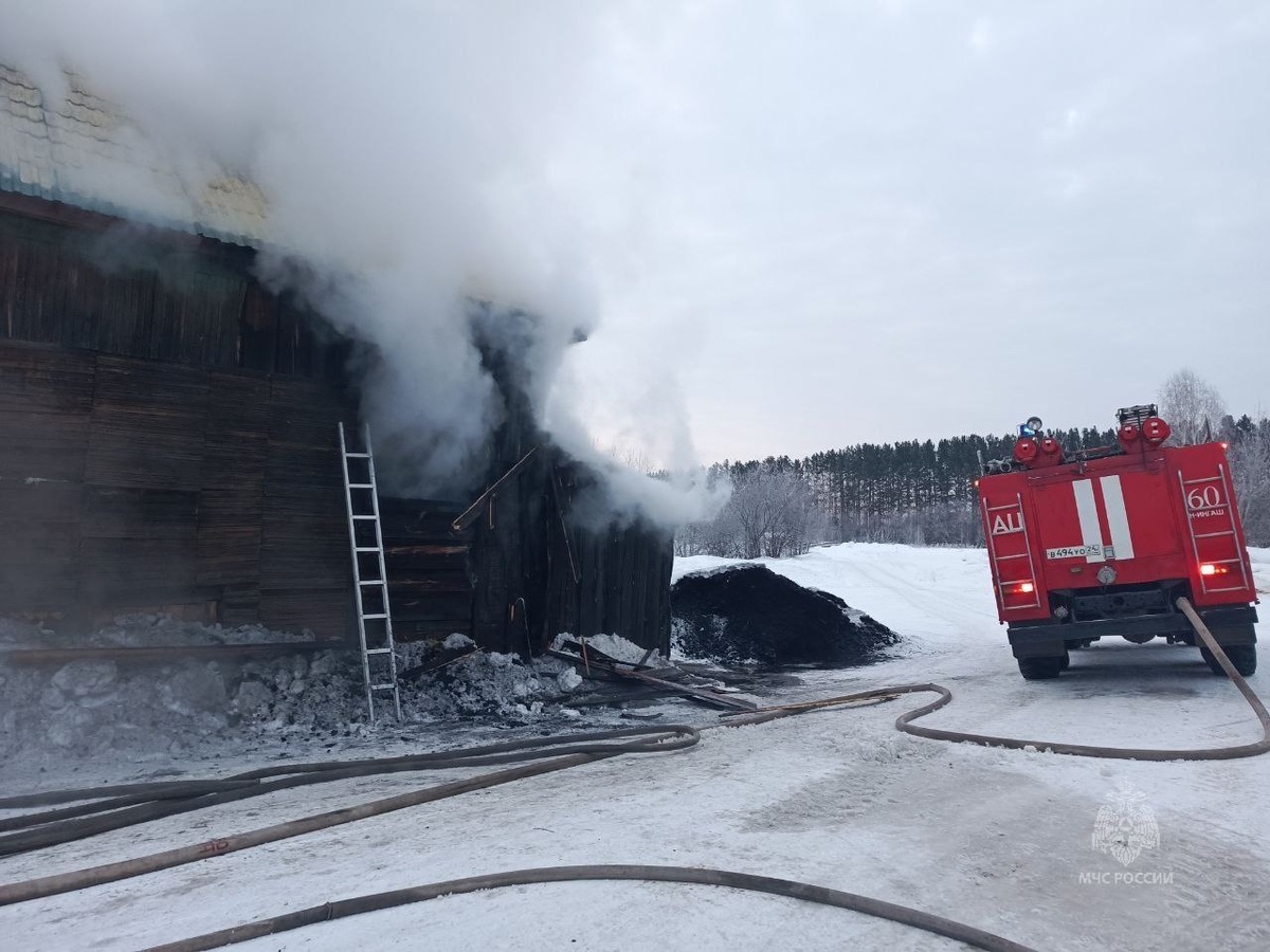    Фото: Telegram-канал «МЧС Красноярского края»