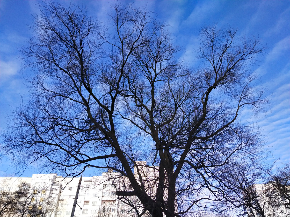 Личное фото