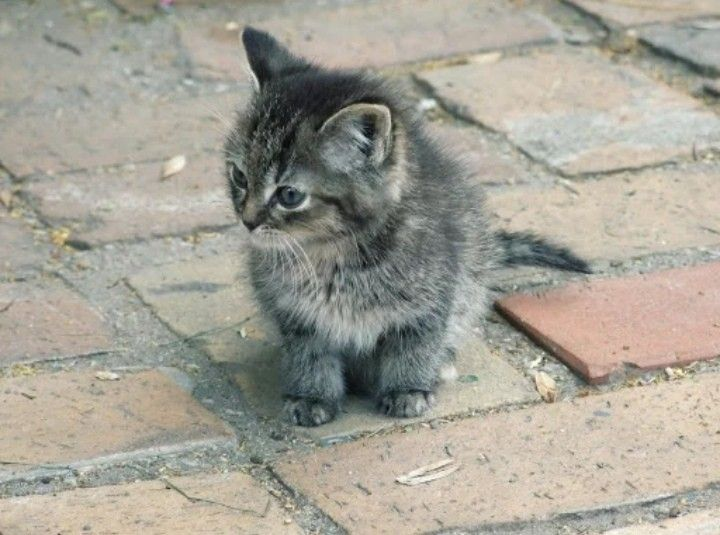 Фото с ru.pinterest.com для примера