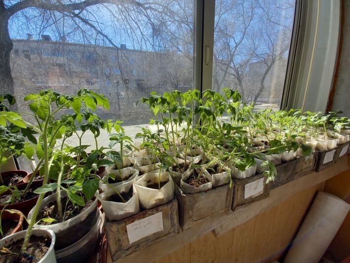    Фото: личный архив Павла Жирнова