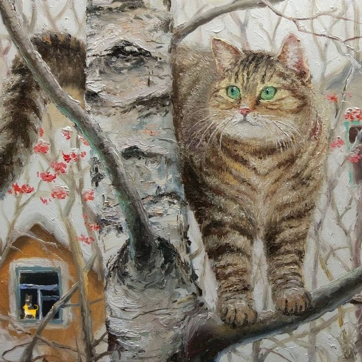 Яндекс картинки