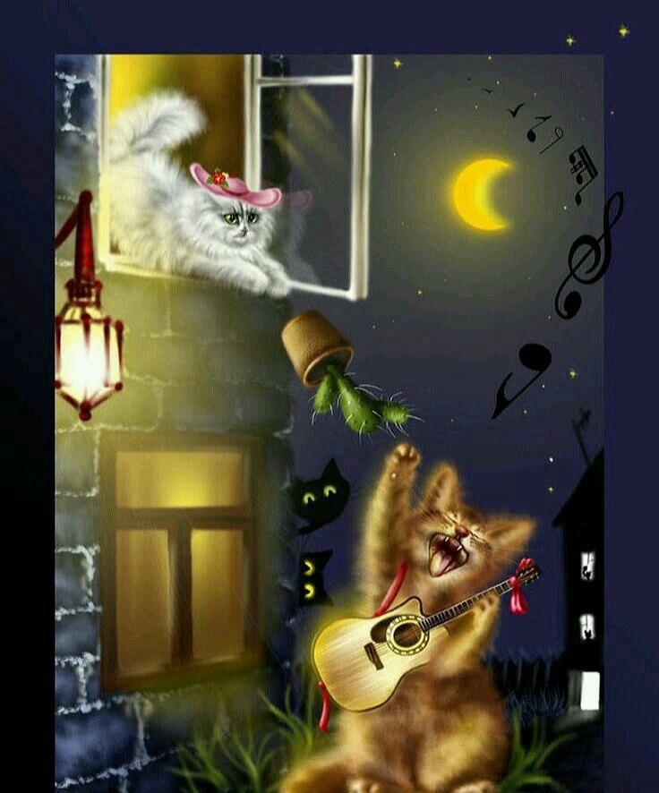 Яндекс картинки