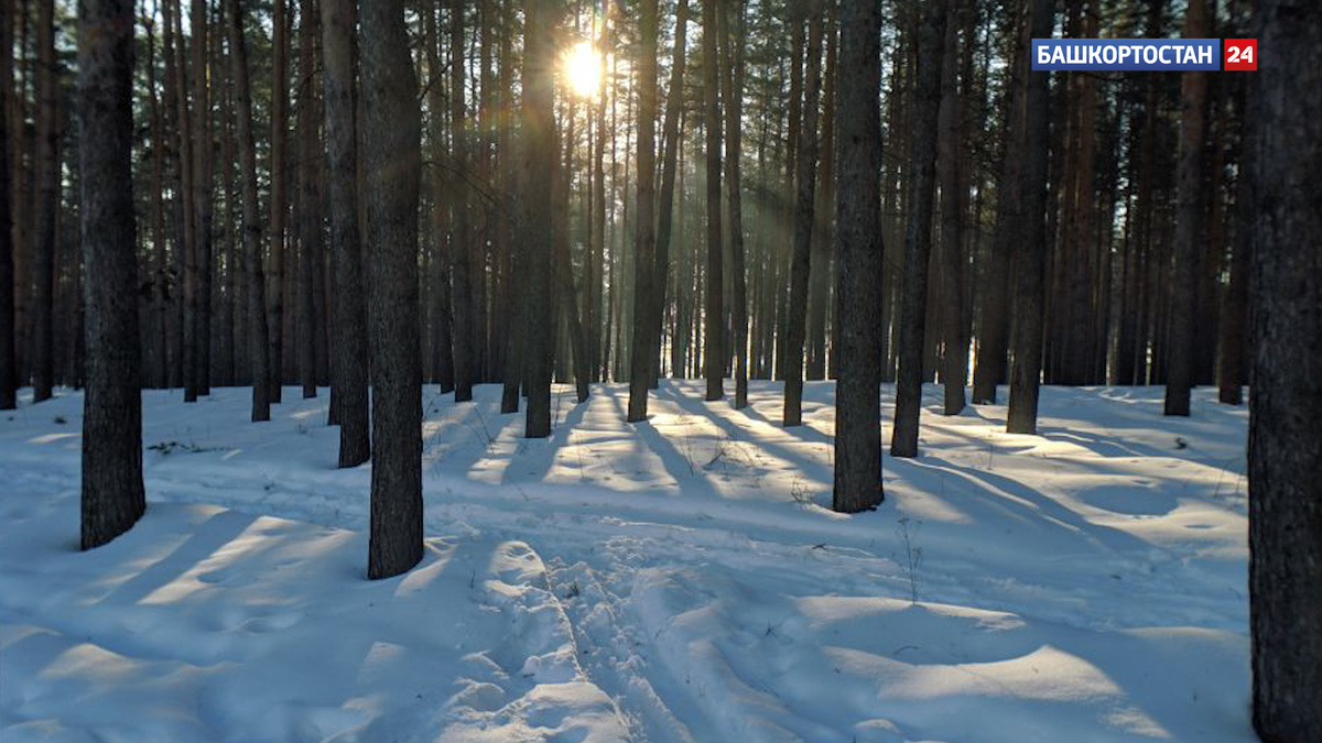    В Башкирии потеплеет до нуля