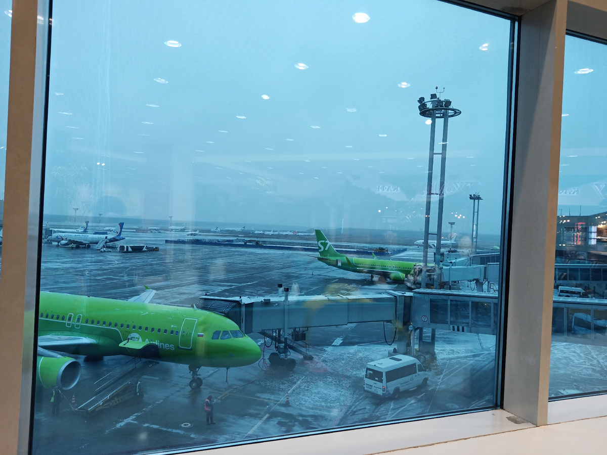 Вид на посадочную полосу Домодедово