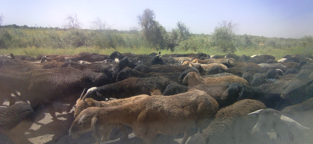 Стоим в пробке 