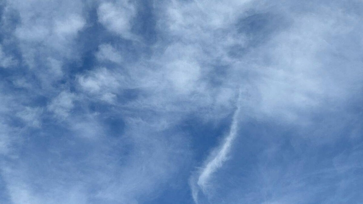    Фото: телеканал «Краснодар»