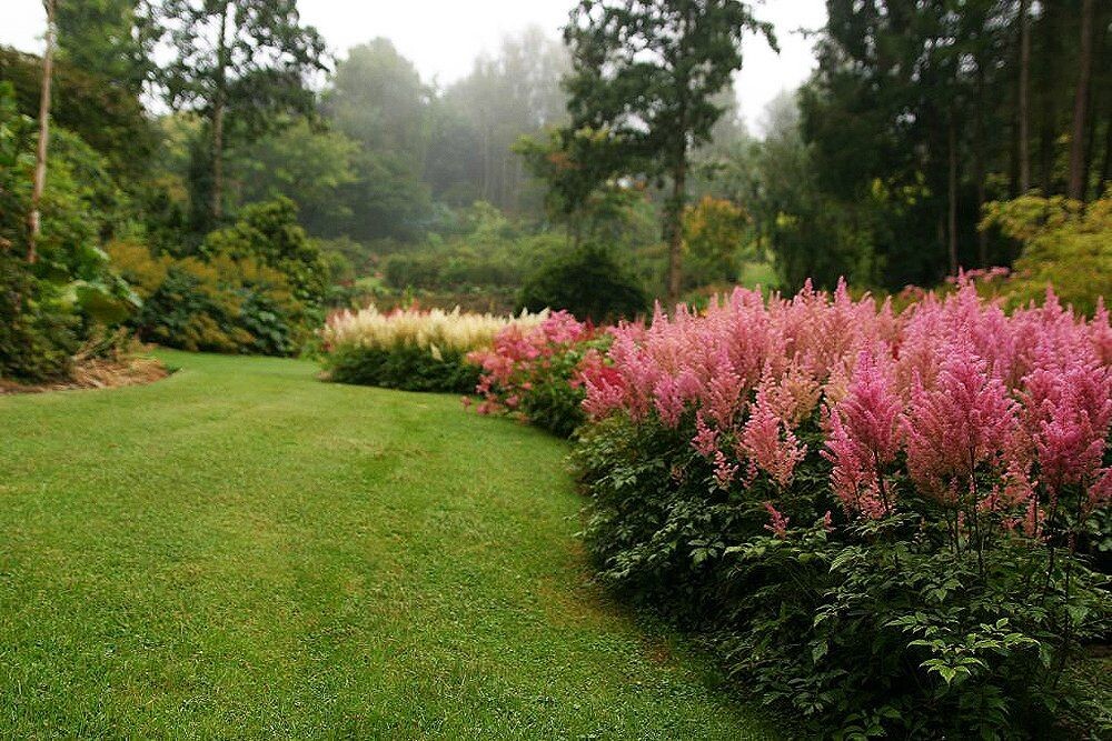 Нежность в ажуре.