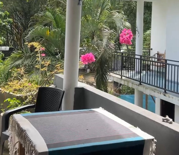 Наш балкон с видом на пруд