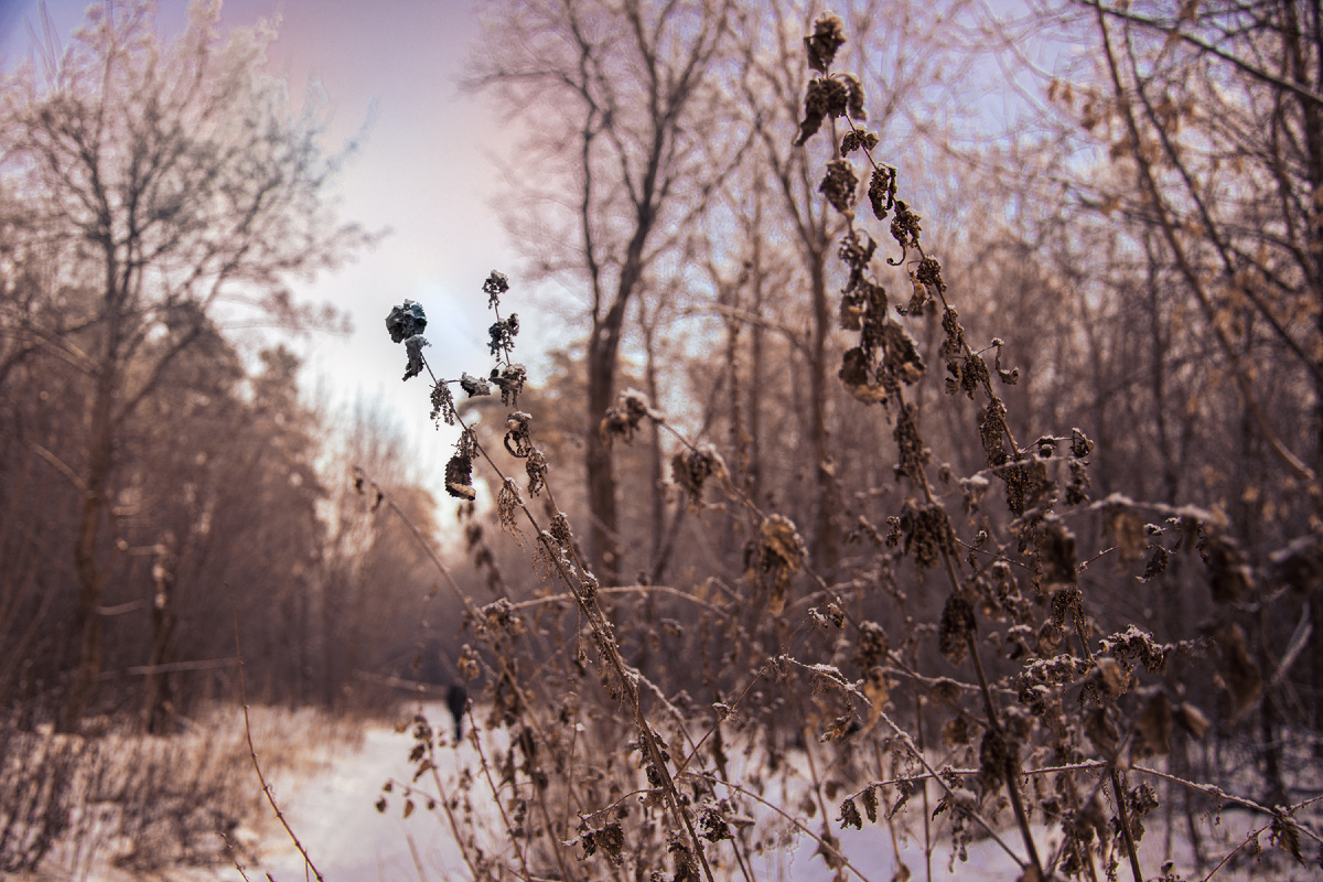 Копирование фотографий запрещено. Контент является интеллектуальной собственностью. Защищён авторским правом.