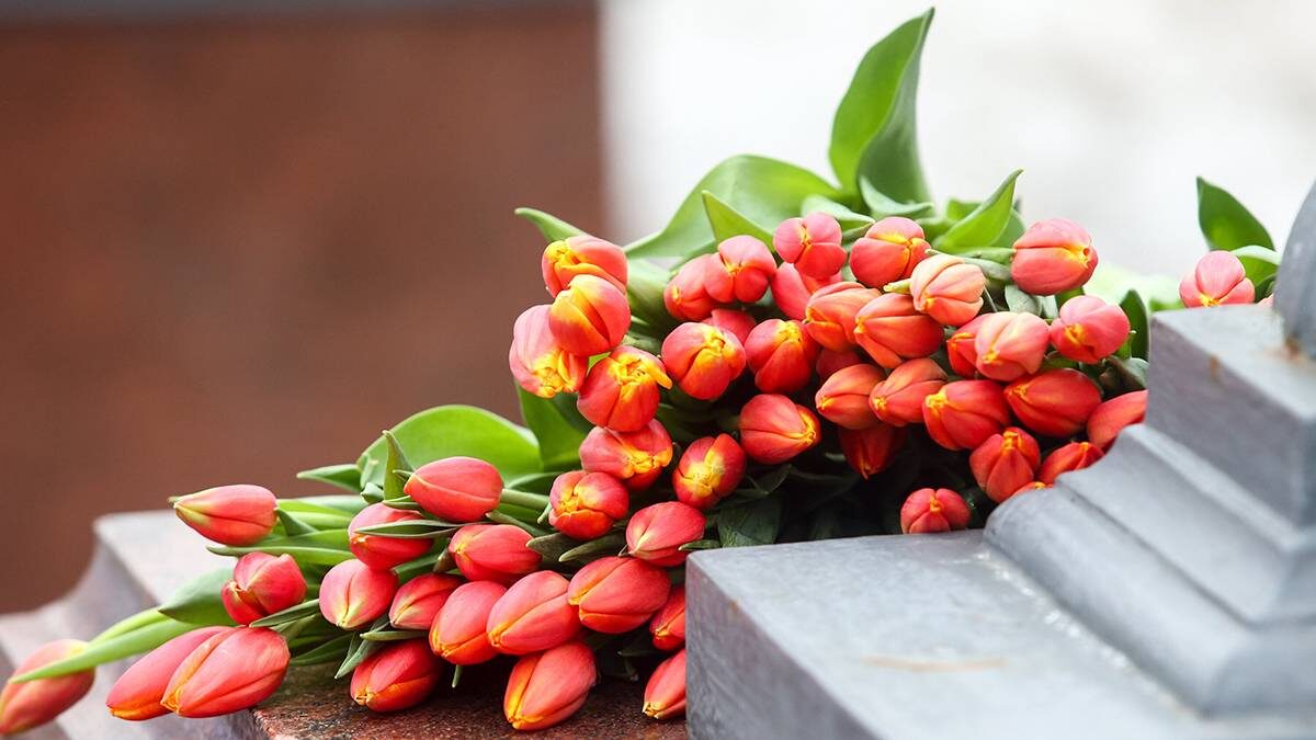    Фото: Ярослав Чингаев / АГН Москва