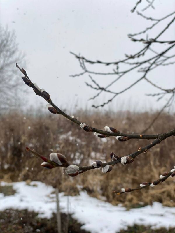    Фото: Дарья Нечаева