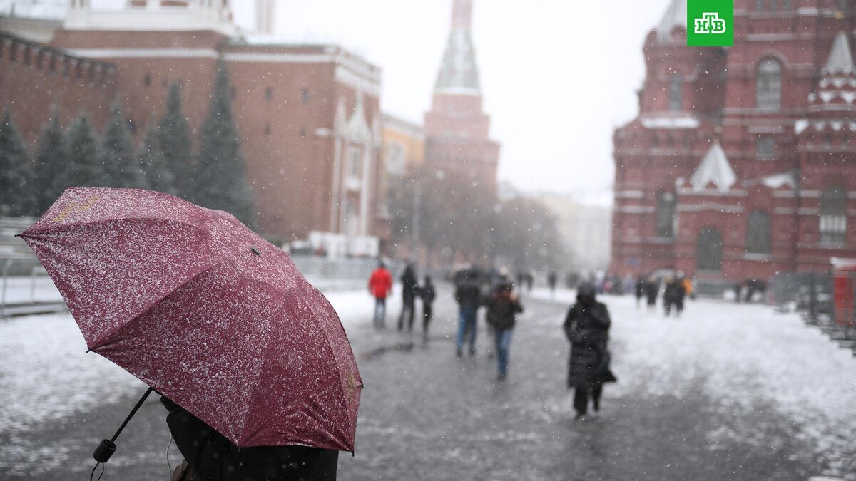    Фото: РИА Новости © 2025, Алексей Майшев