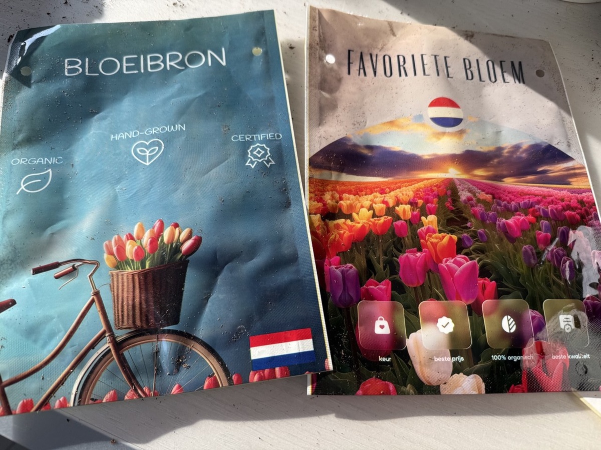 Фото автора канала Дом с кипарисами