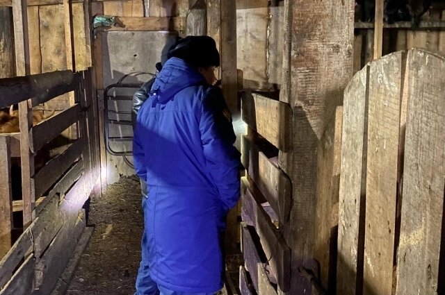    Место убийства. Фото: ГСУ СК России по Красноярскому краю и Республике Хакасия