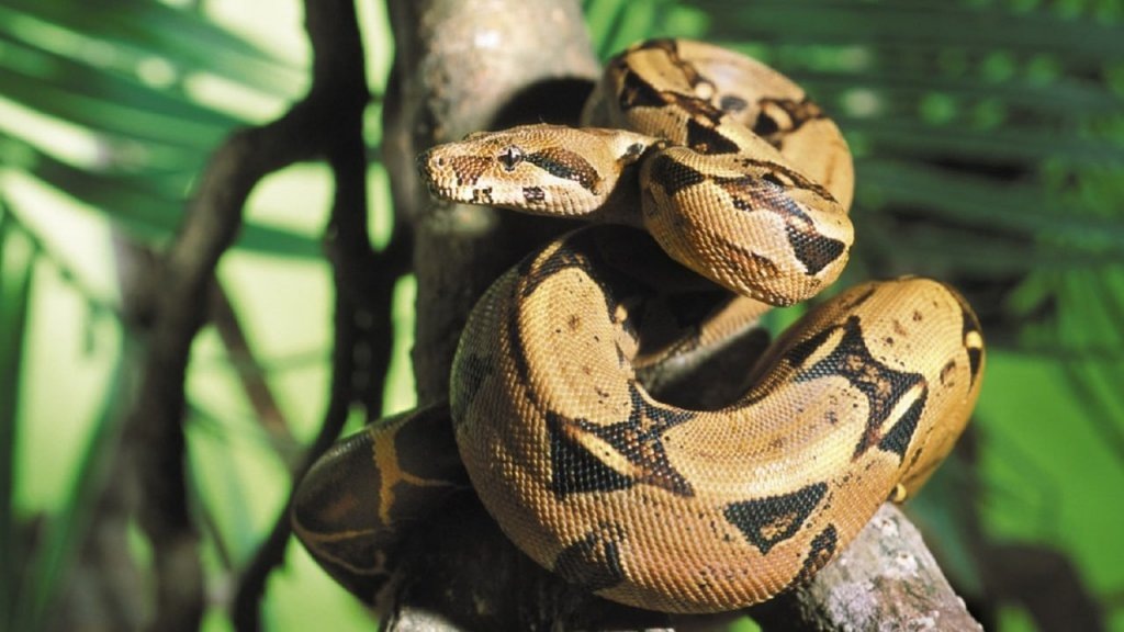    Фото: Екатеринбургский зоопарк