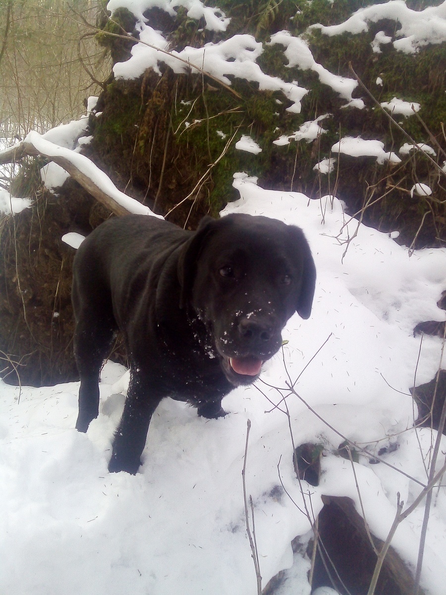 Фото автора .