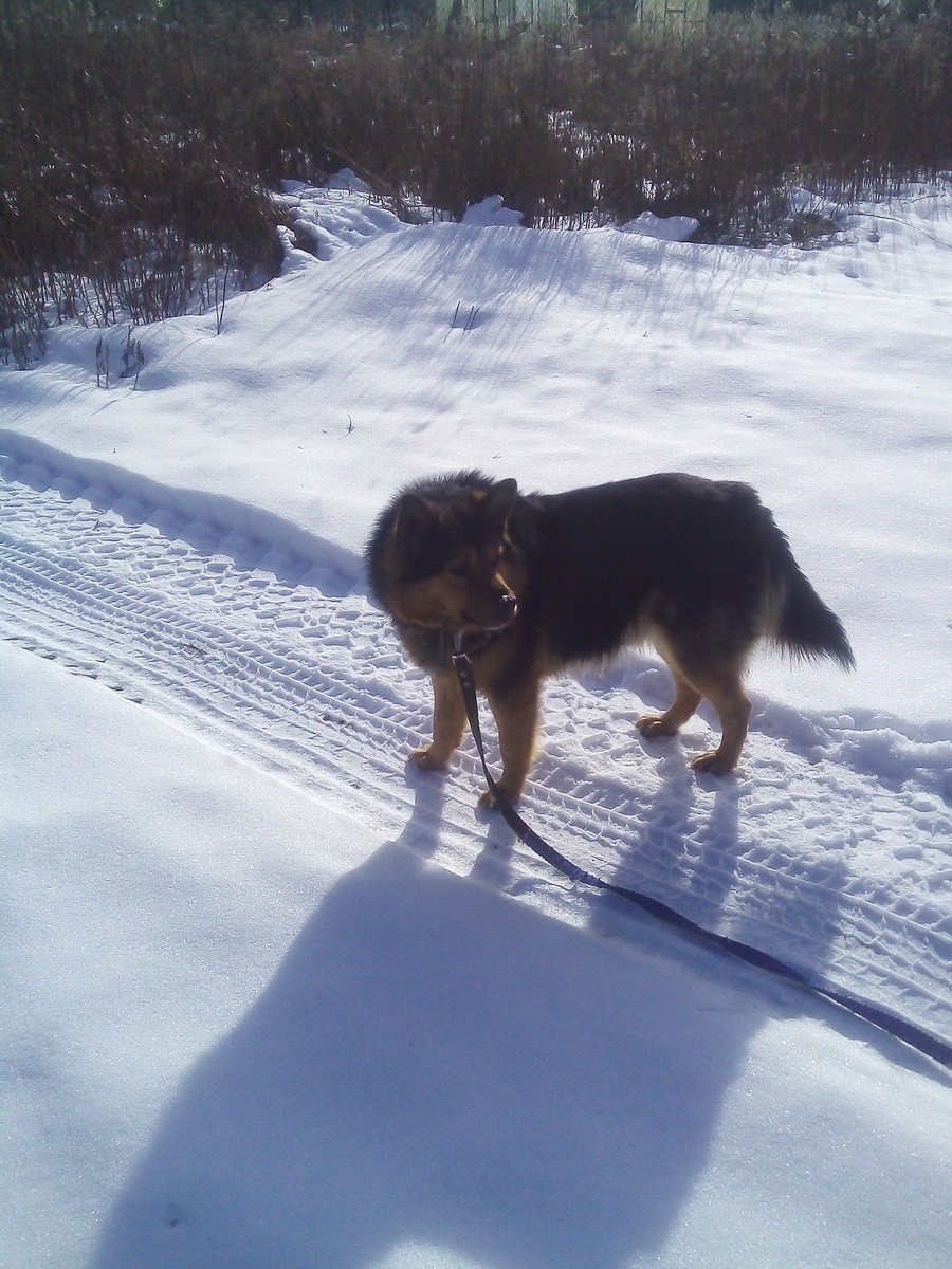 Фото автора.