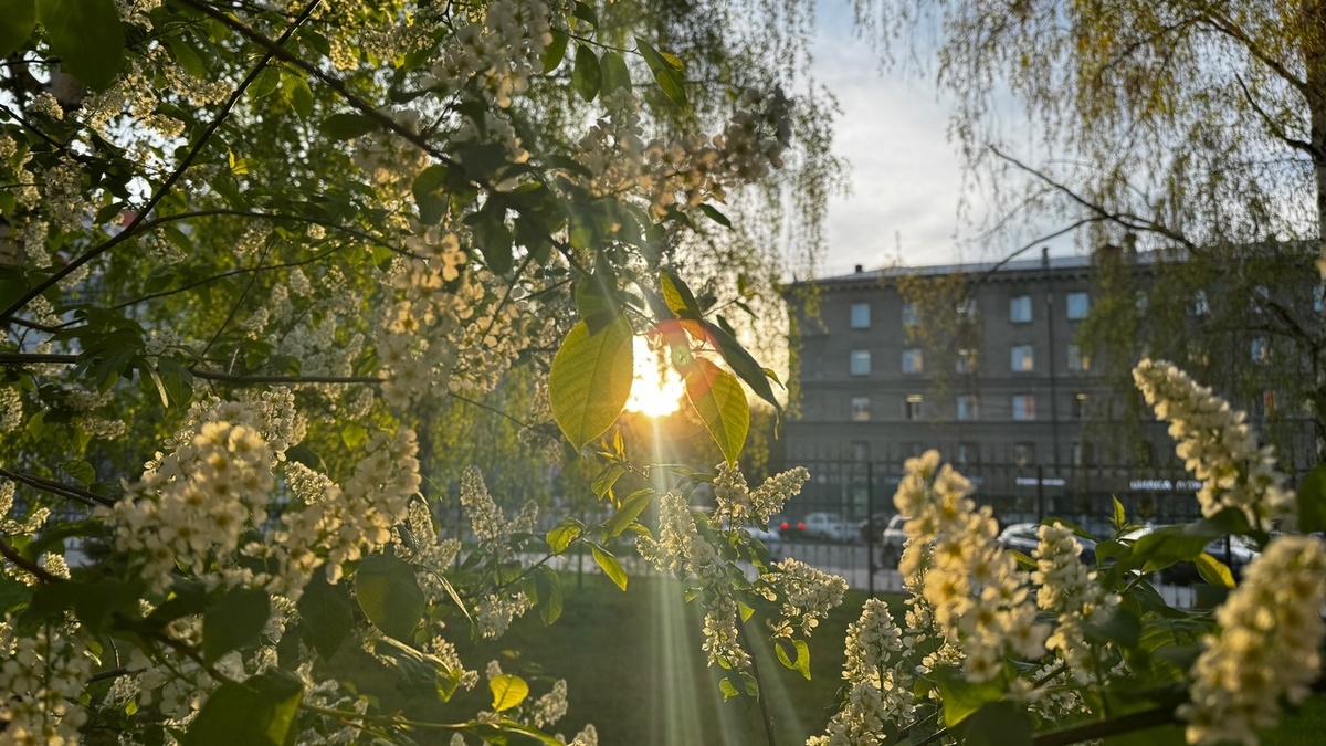 Фото: Сиб.фм