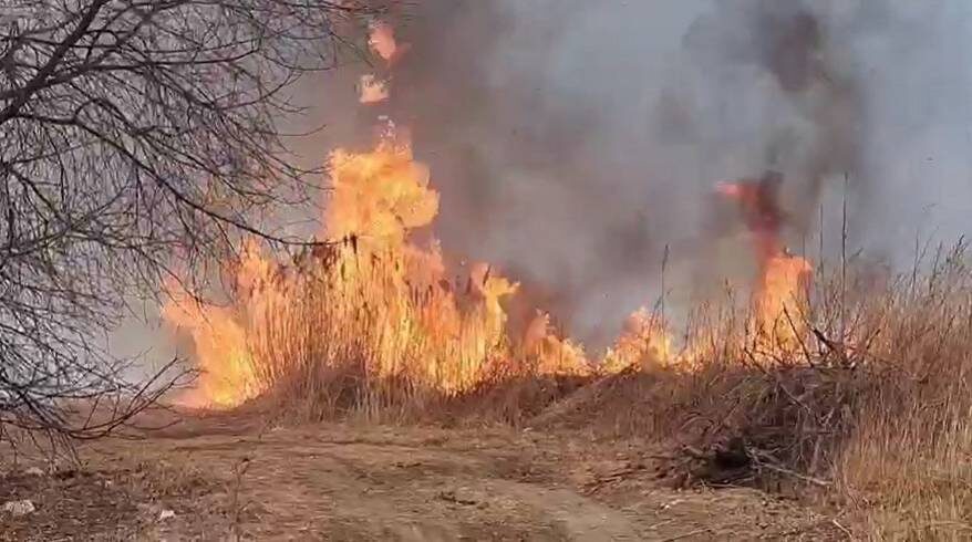    Источник фото: