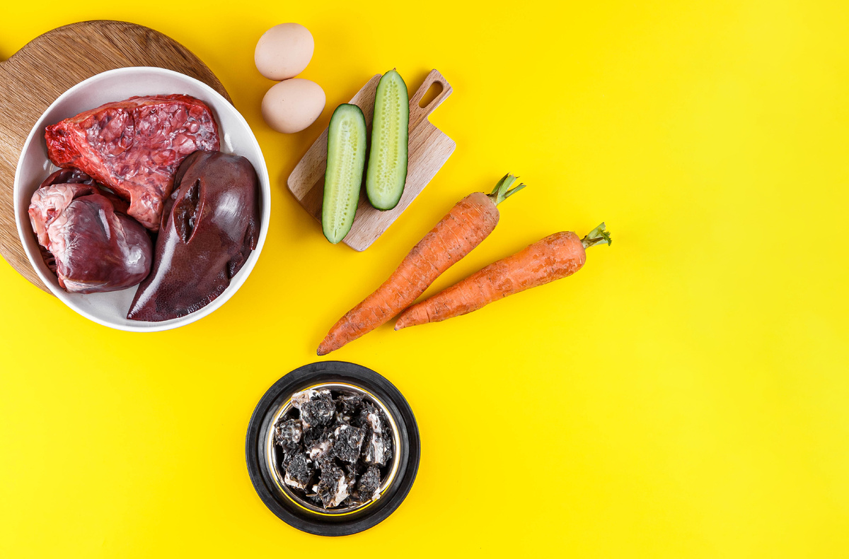 натуральные ингредиенты для кормления собак