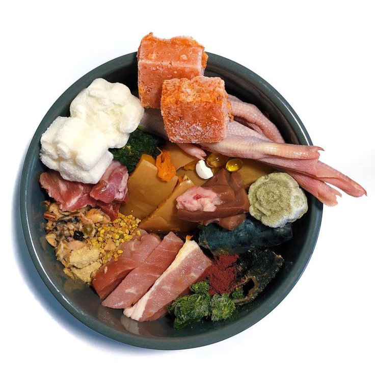 Все это можно и нужно давать любимому питомцу