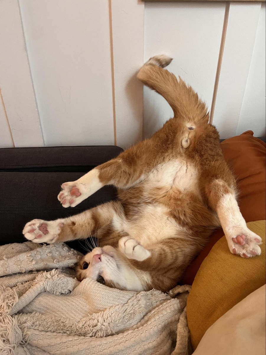    «Да, удобно».