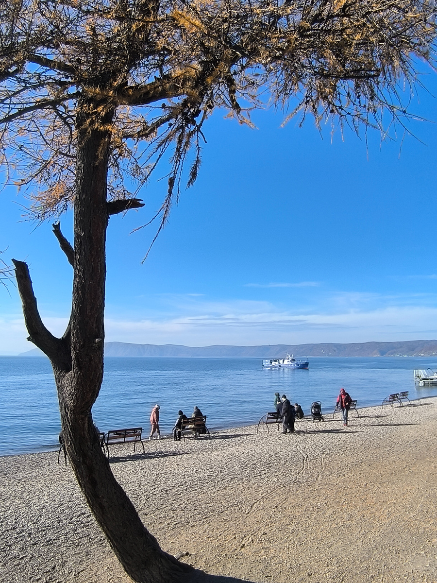Понравилось это засыпающее перед зимой одинокое древо. (© Анна, «Маяк энерджайзера»)