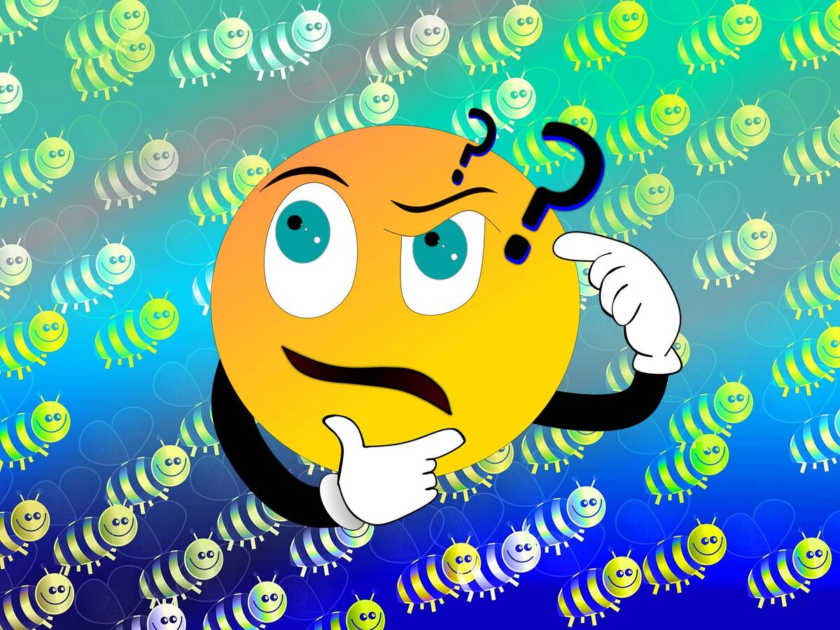 Очистительный облёт пчёл