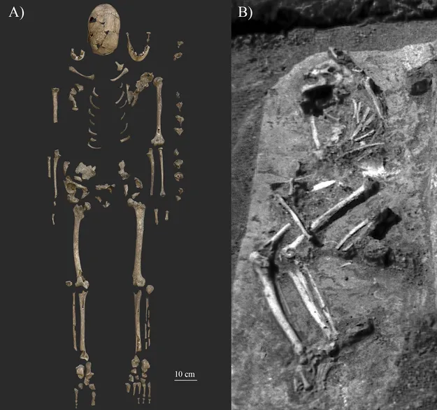 Останки скелета, обнаруженные в могиле № 63. A) Фотография, показывающая текущее состояние сохранности костей; и B) Фотография захоронения № 63 in situ. Кредит: Фото A Луки Киша, Фото B Иболии М. Неппера