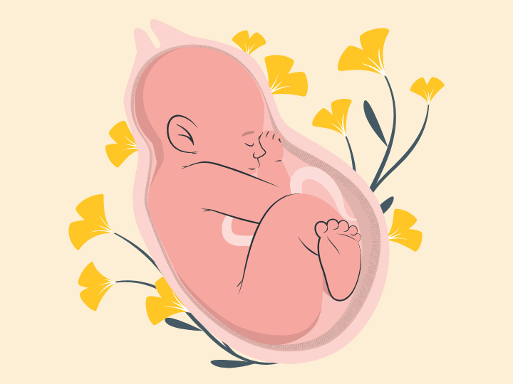 Источник: https://ru.freepik.com/, @storyset