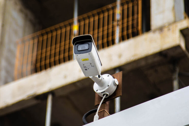    Фото: Общественная Служба Новостей Дарья Федотова