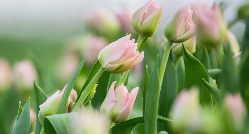    Ilya Moskovets/URA.RU / www.globallookpress.com