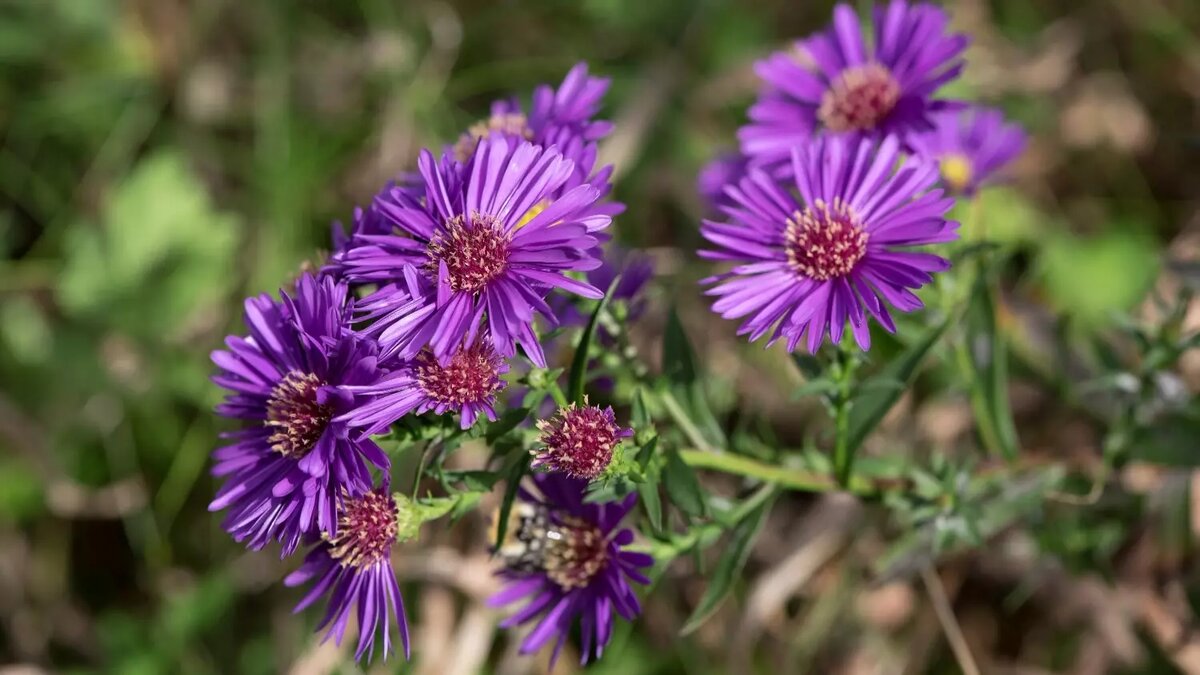     Источник: pxhere