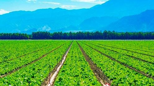 Фото с сайта yuz.uz