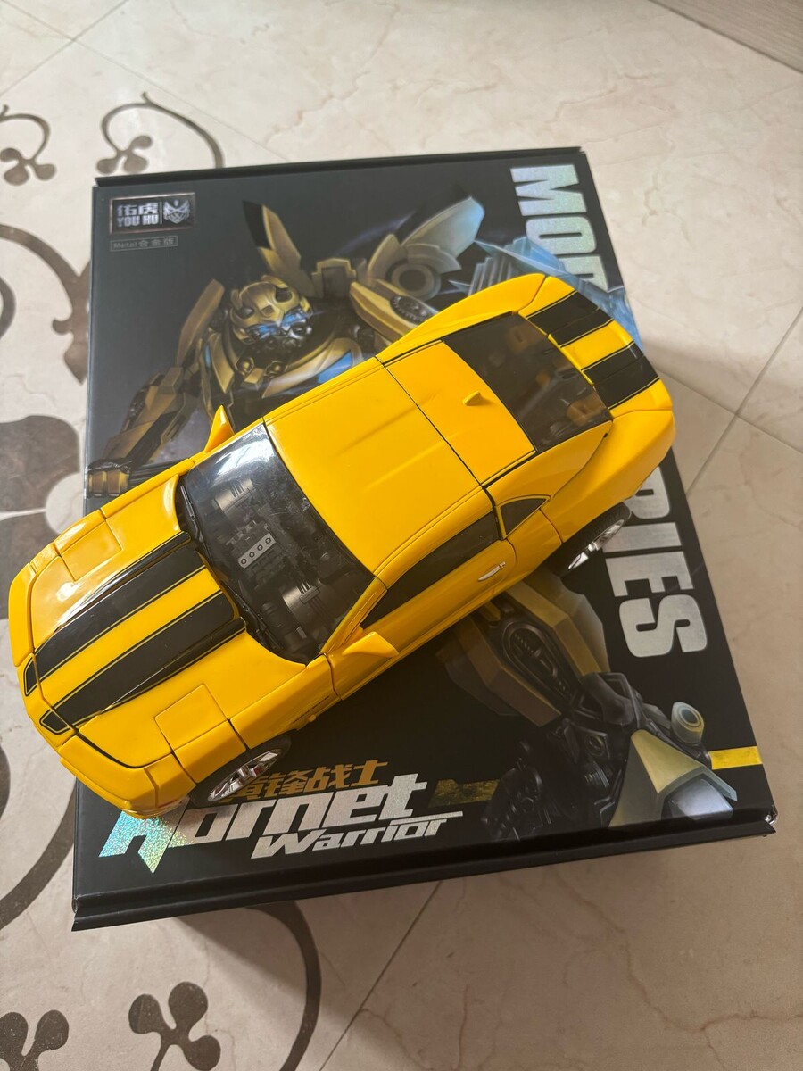 Фото автора. Сборная модель, трансформер.