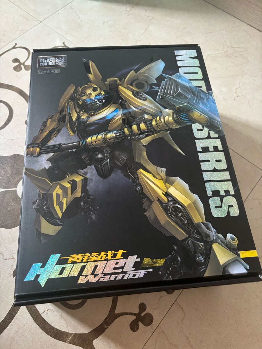 Фото автора. Сборная модель, трансформер.