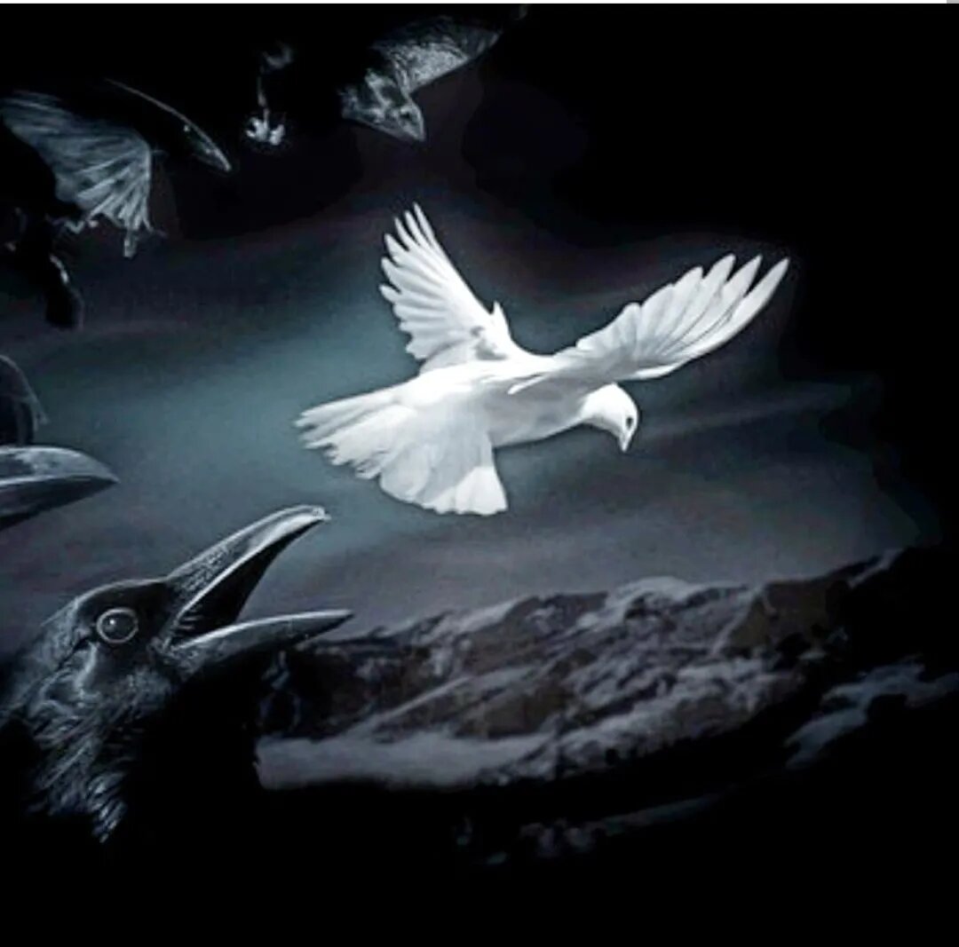 Многие праведно живущие на Земле легко идут по воде, и Закон всемирного тяготения на них не действует. Дьявол не может выйти за пределы плотных слоев атмосферы и привязан к аду – магниту, куда грешники, если не раскаются в своих грехах, после смерти попадают.