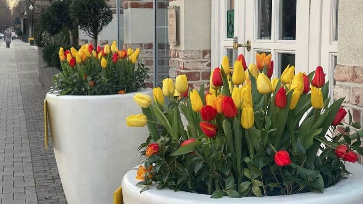    Фото: телеканал «Краснодар»