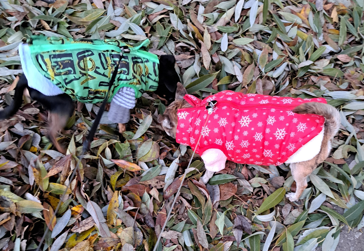 фото из личного архива