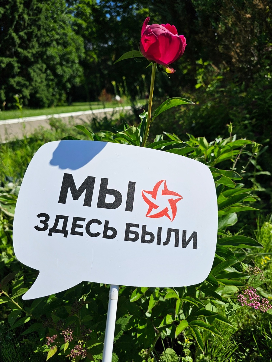 Живописная территория