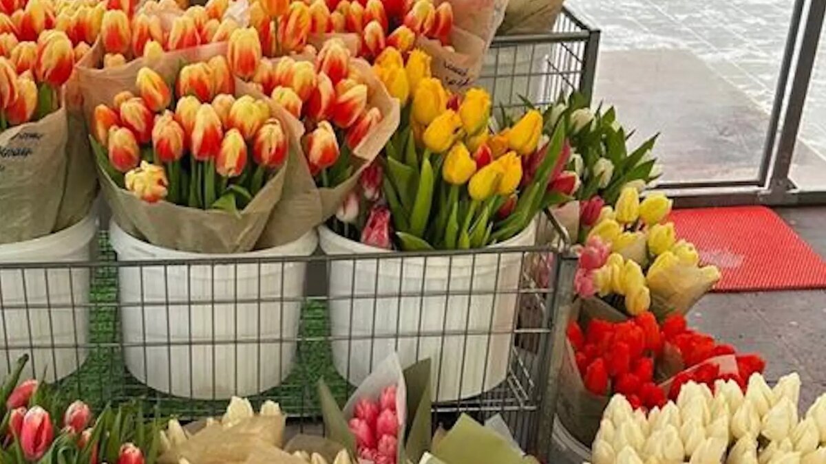     Источник: admkrsk.ru