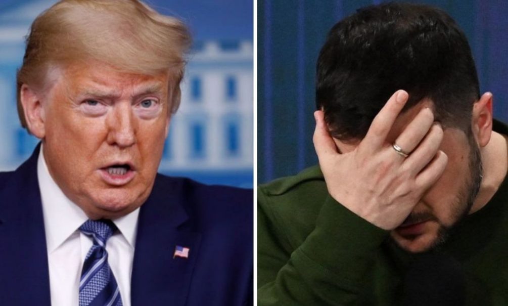    Дональд Трамп и Владимир Зеленский