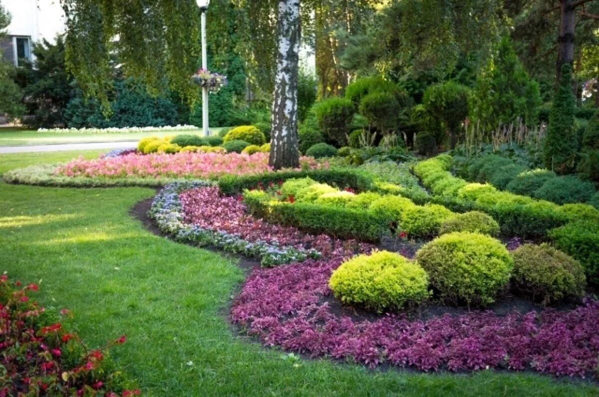    В волгоградском парке появится 10 соток цветочных полян