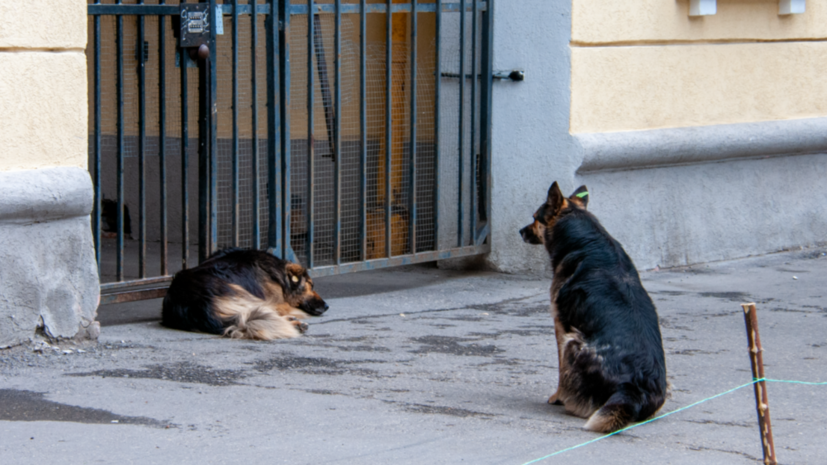   globallookpress.com Svetlana Vozmilova