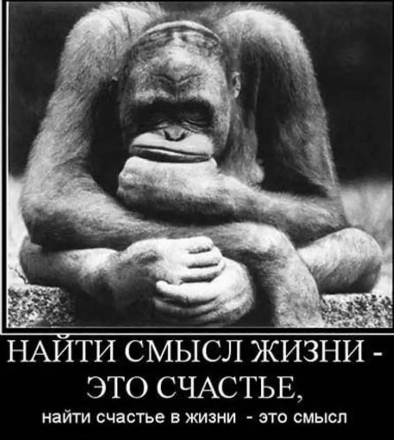 Интересно подмечено. Изображение взял из открытого источника Яндекс Картинки