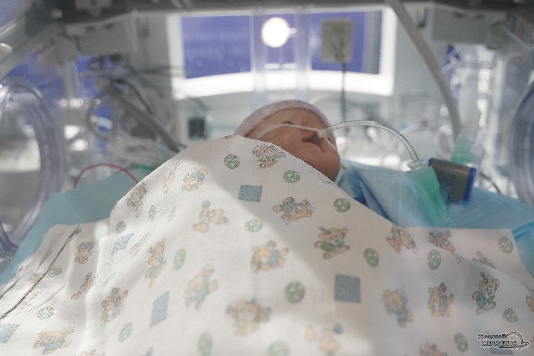    Фото: Лидия Аникина © ИА «Уральский меридиан»